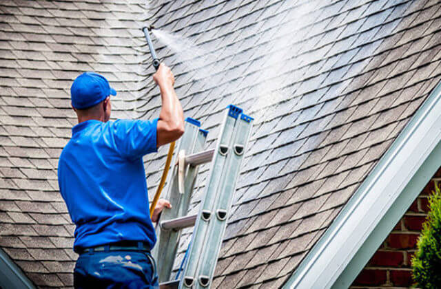 daly city roof cleaning